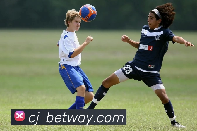 必威BETWAY官网服务体系